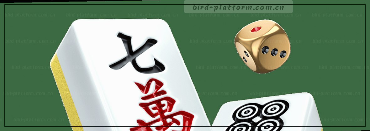 小鸟平台：中国官网入口导航，精准直达